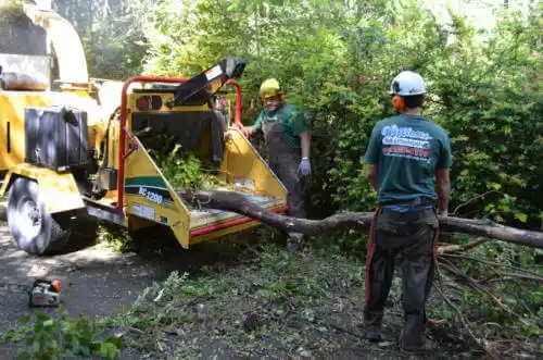 tree services Pistakee Highlands